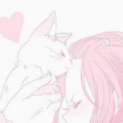 九寨沟现野生大熊猫